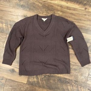 Women’s plus size 0X sweater Terra & Sky from Walmart